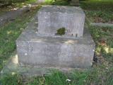 image of grave number 503722